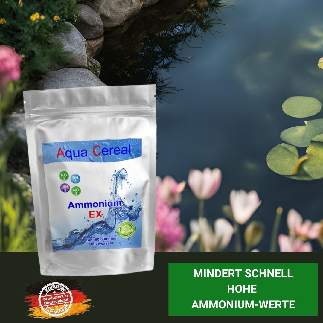 Ammonium Ex für Teich