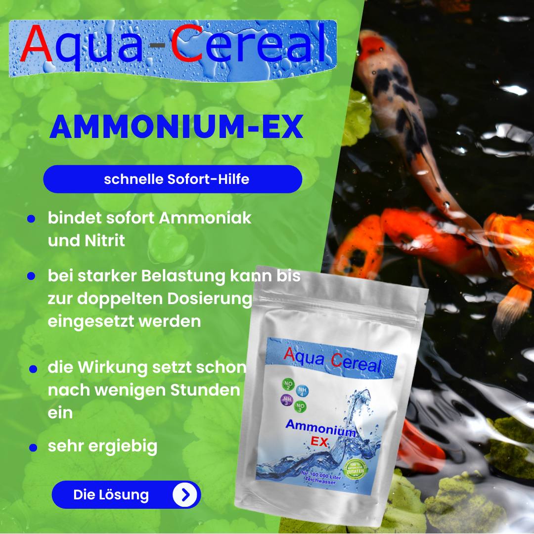 Ammonium Ex soforthilfe