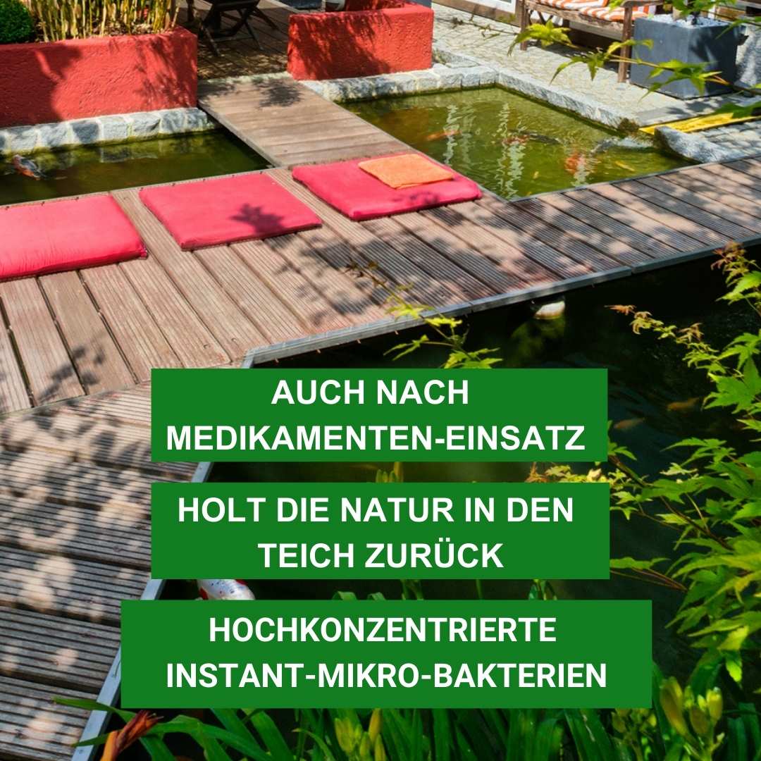 Aqua Micro Dry für Koiteich