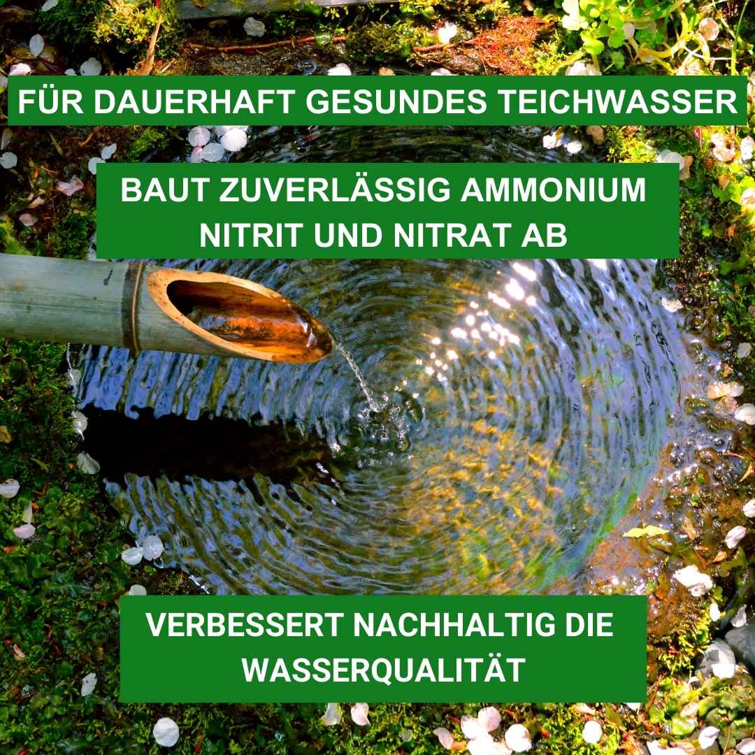 Aqua Micro Dry gegen Ammonium, Nitrit und Nitrat