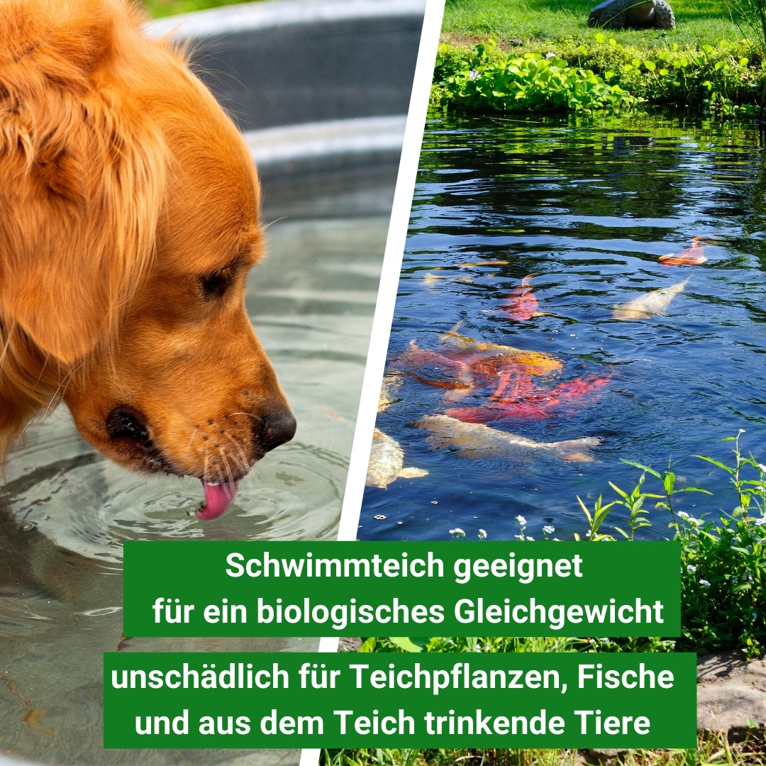 Filter Bälle sind Schwimmteich geeignet