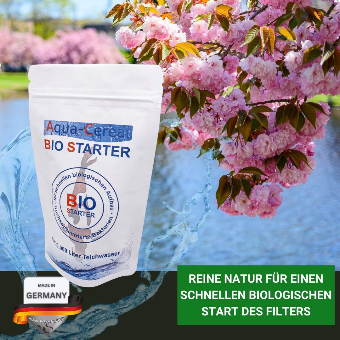 Bio Starter Filterbakterien