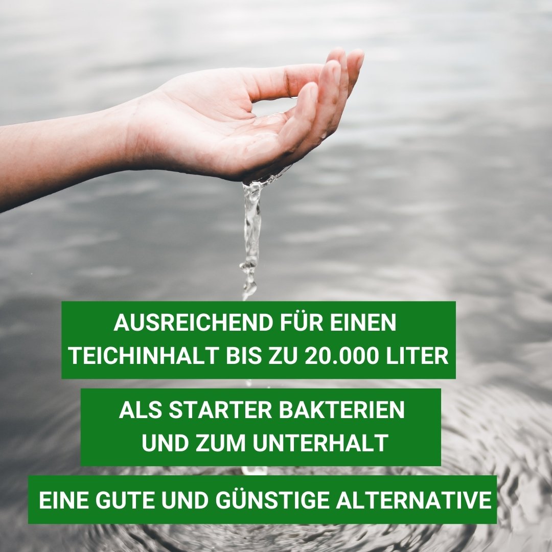 Bio Starter für bis zu 20.000 Liter Teichwasser