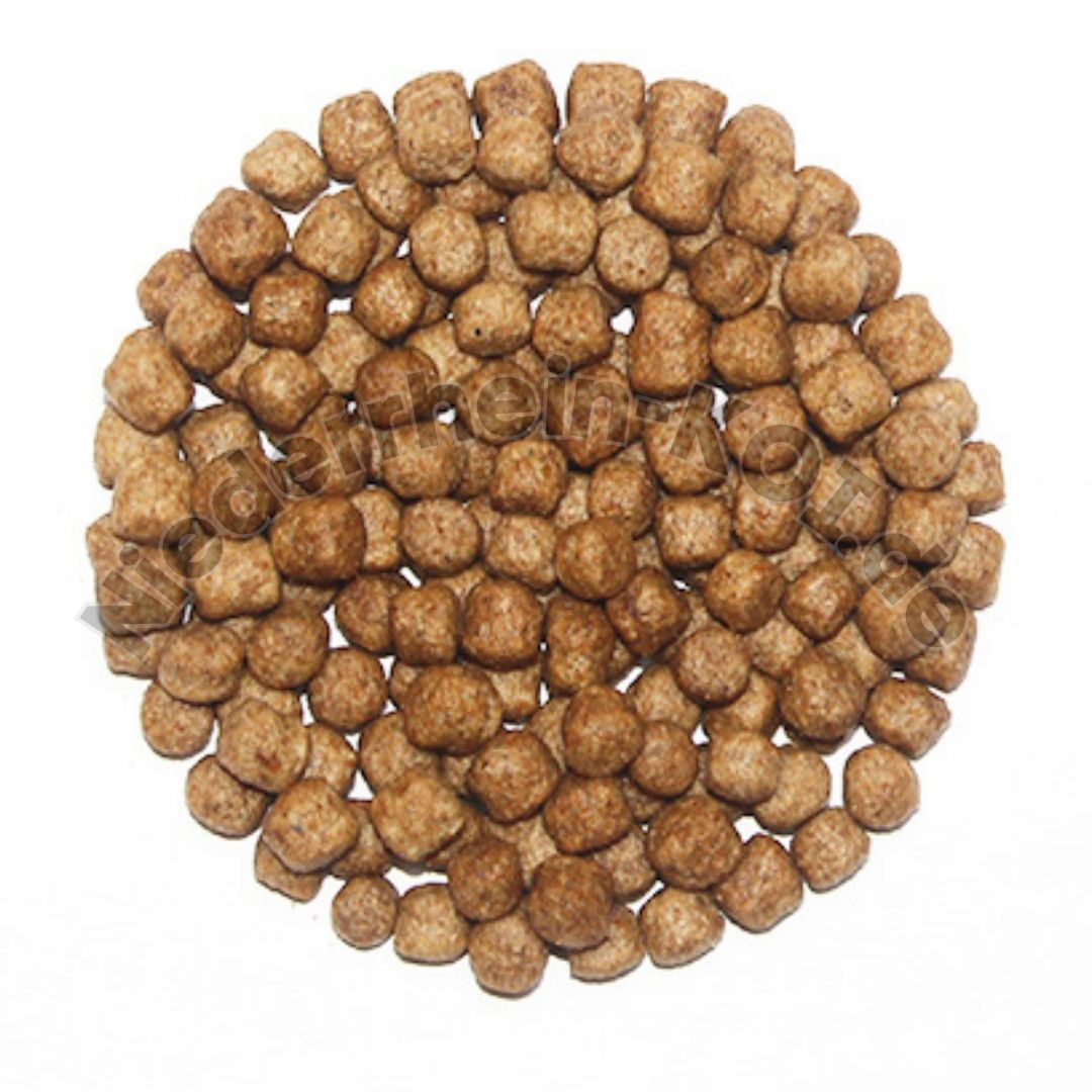 Teichfutter Coppens Pond Pellet