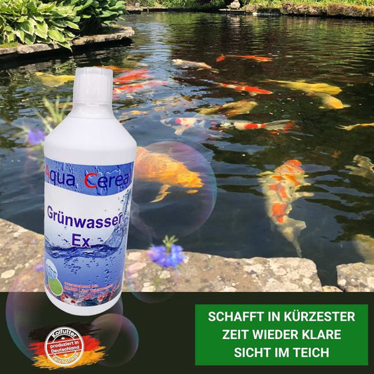 Grünwasser-EX für klare Teiche