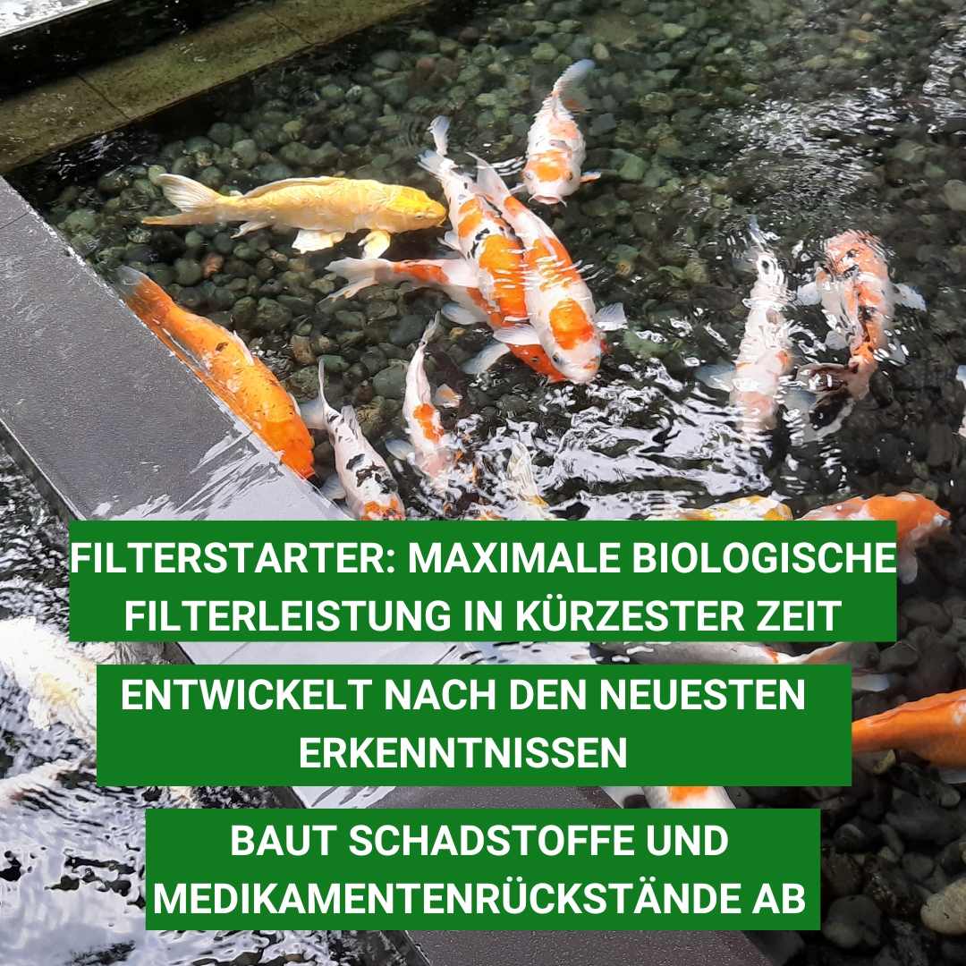 Hochleistungsfilterbakterien Erklärung