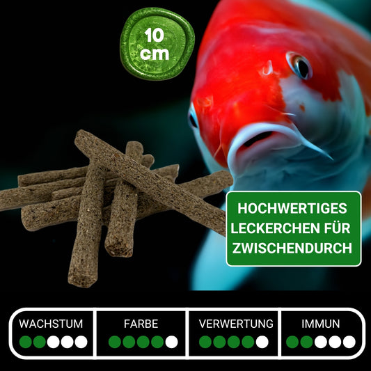 Koi Snack für zwischendurch