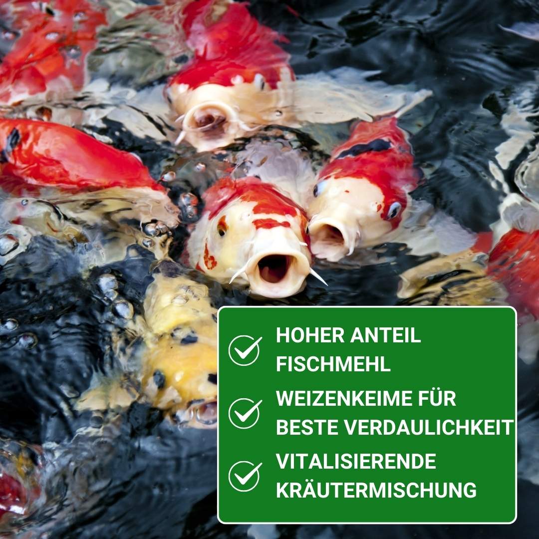 Koifutter mit hohem Fischmehlanteil KENKOU Nr.1