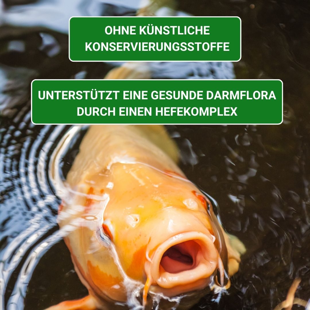 Koifutter ohne Wasserbelastung