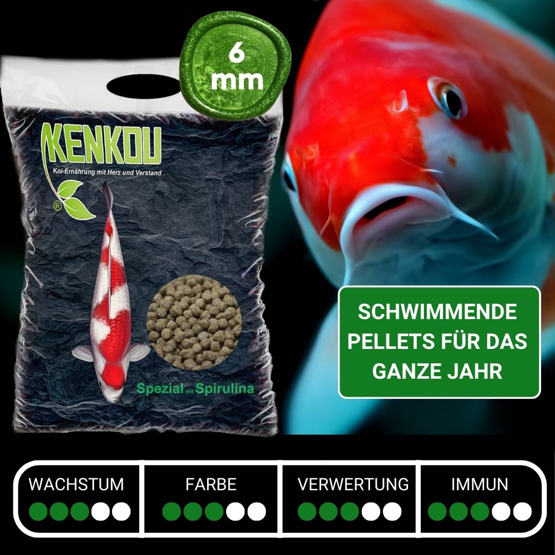 Spirulina Koifutter kaufen im Koifuttershop