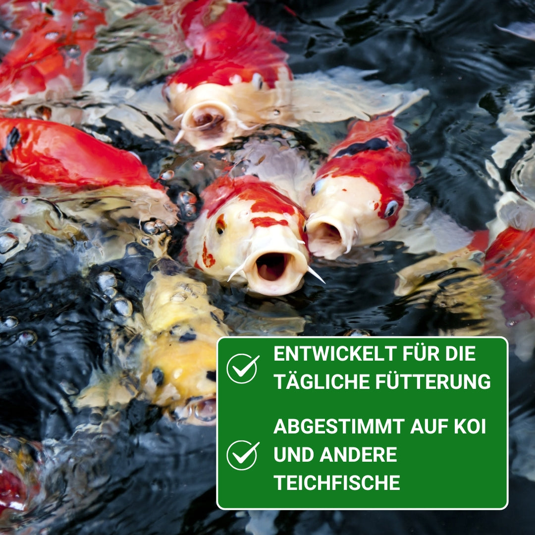 Fischfutter günstig kaufen 