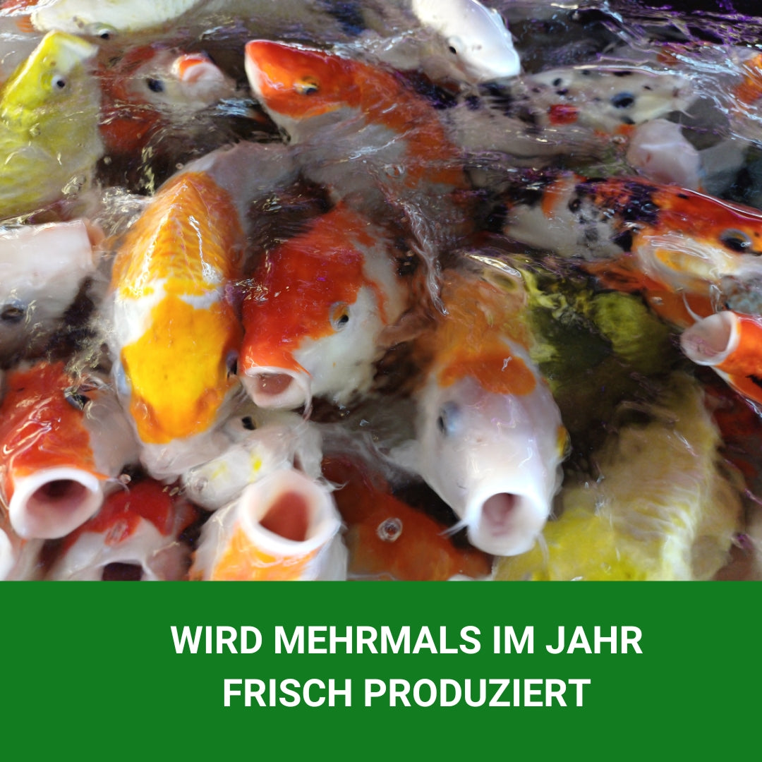 Fischfutter, Koifutter, Teichfutter im ANGEBOT 