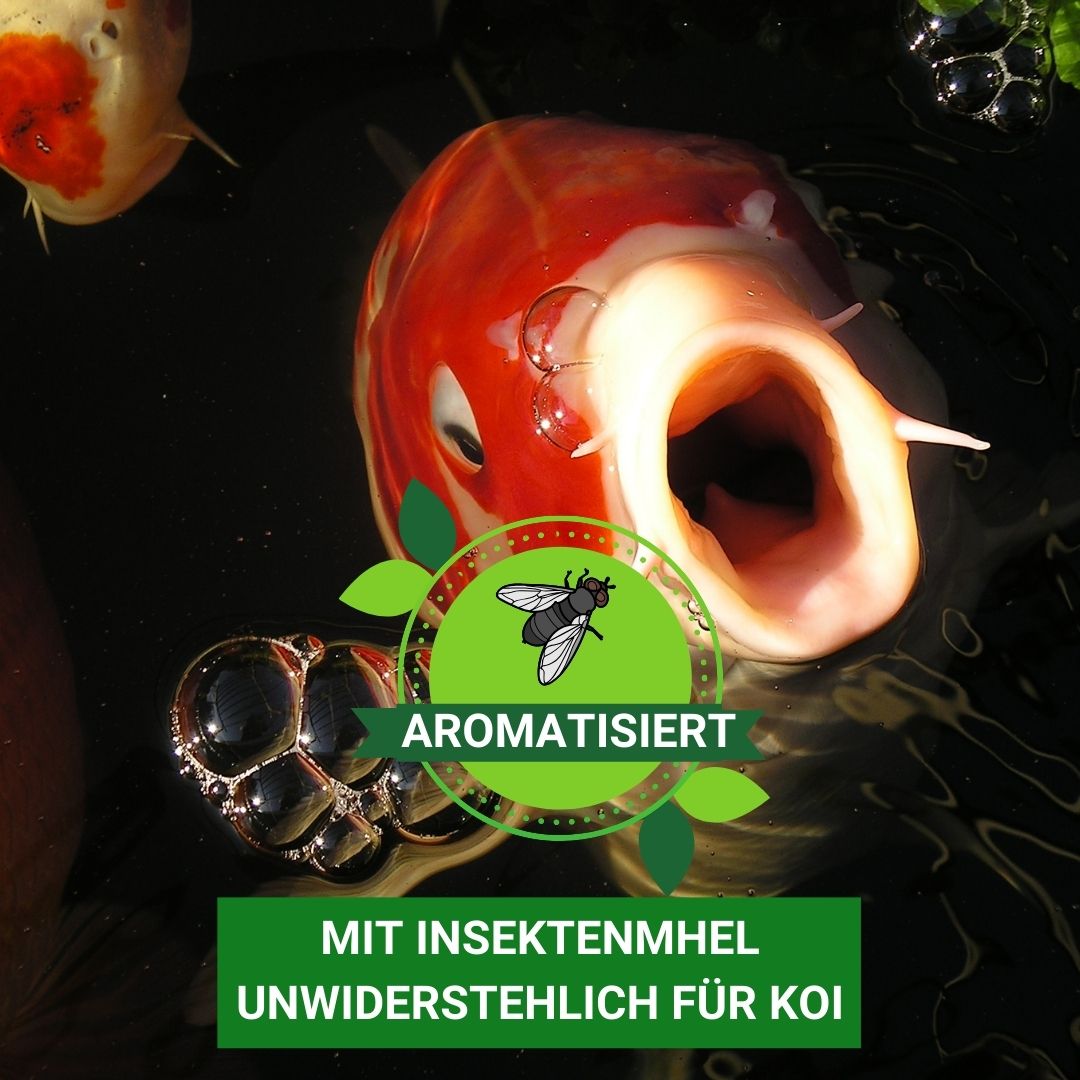 Koifutter BAKUDAi 6mm mit Insektenmehl