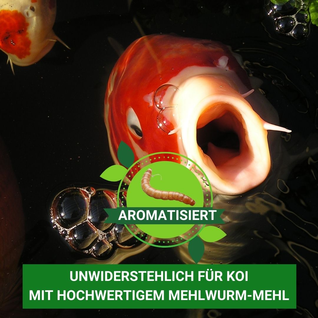 Koifutter KENKOU NR.1 MIX mit Mehlwurmmehl aromatisiert.