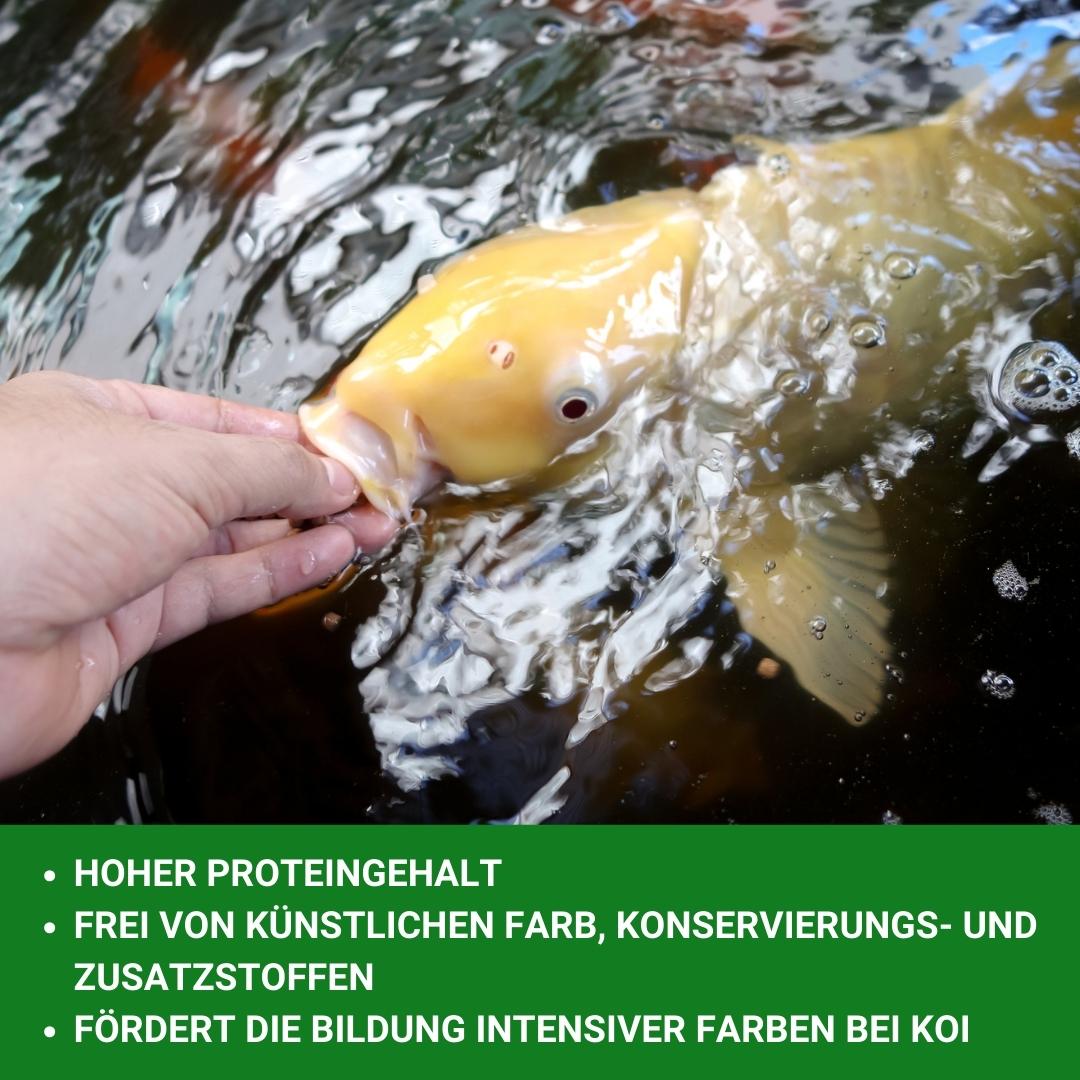 Insektus® Mehr Sorten Mix 1000g -Nachfüllbeutel-