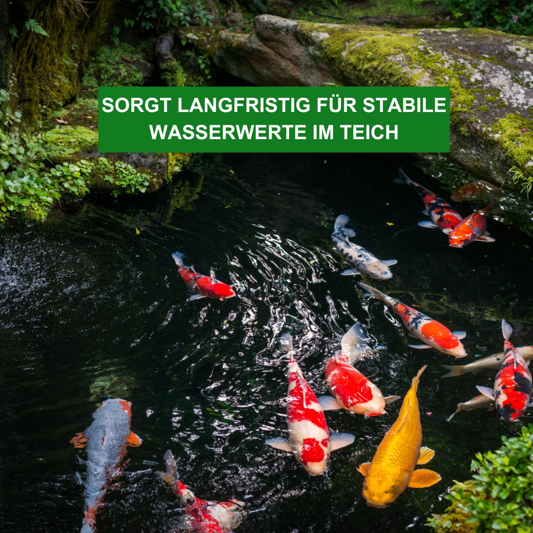 Natur Pond sorgt langfristig für stabile Wasserwert im Teich