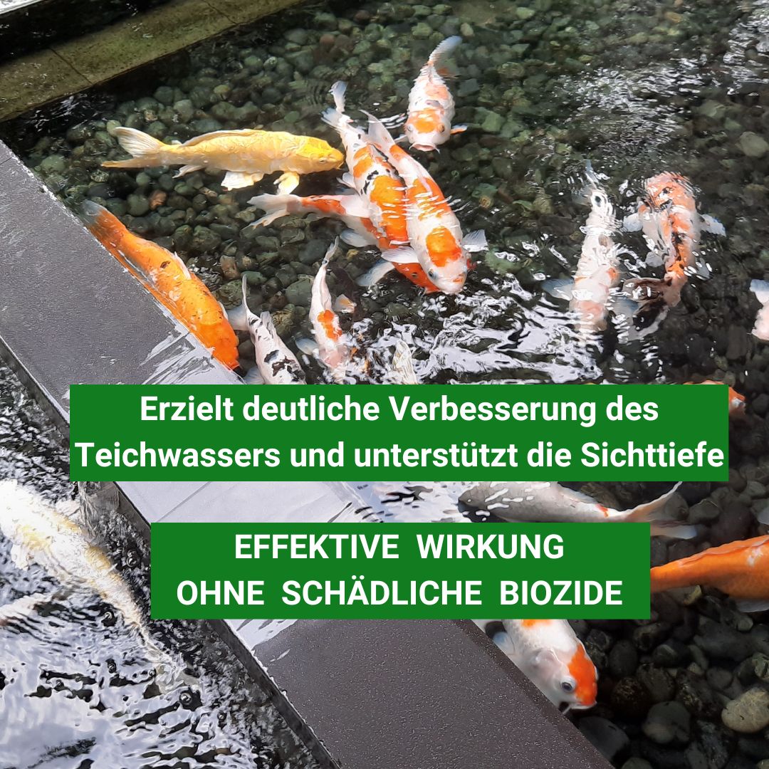 Pond-Repair Fadenalgenvernichter