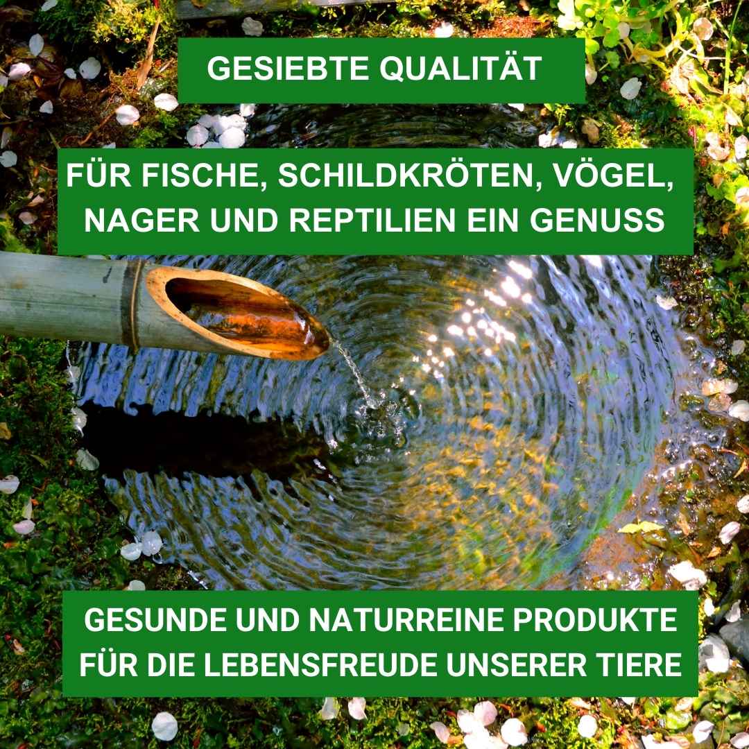 Seidenraupen 1 kg Premium Qualität für Fische