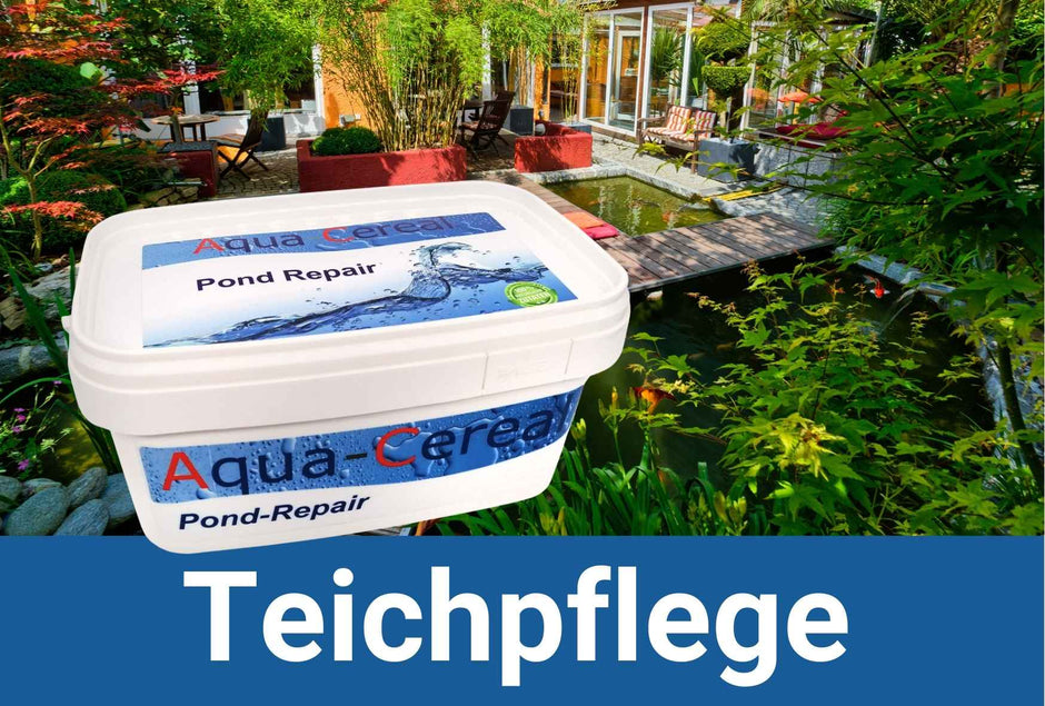 Teichpflege Produkte für den Gartenteich kaufen