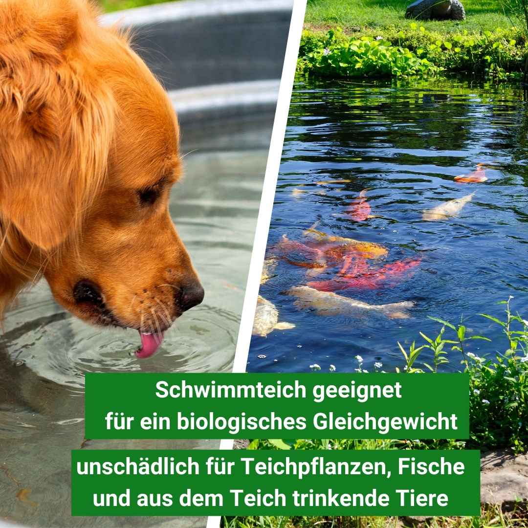 Tonmineral für alle Teich geeignet