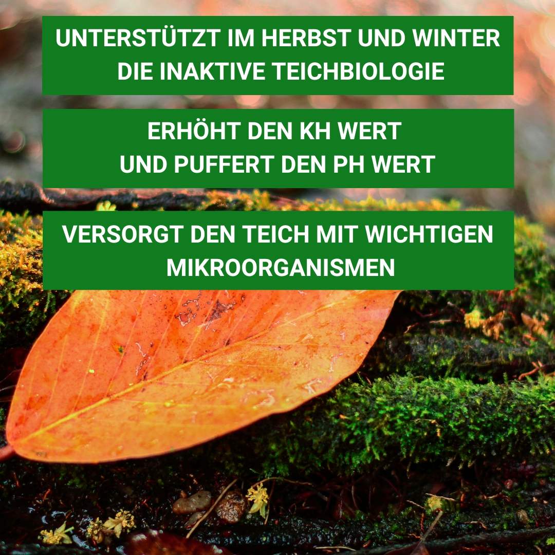 Winterstabil für Teiche