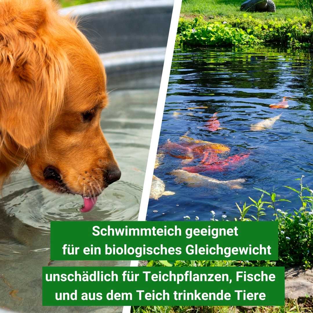 Winterstabil für Schwimmteiche