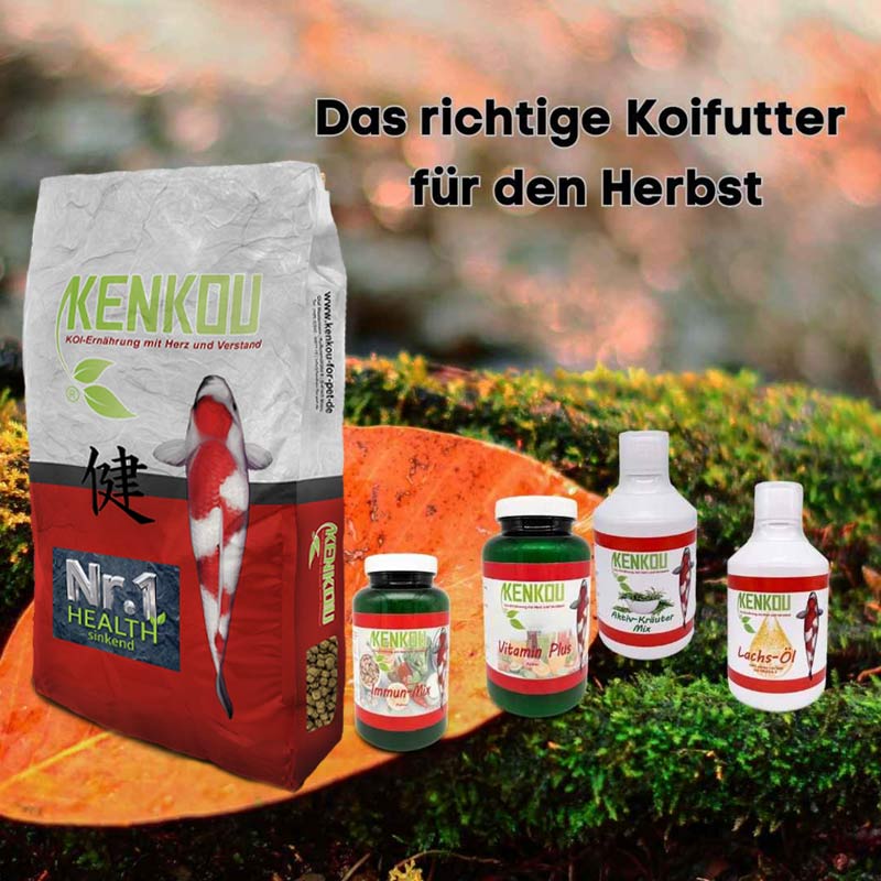 koifutter herbst